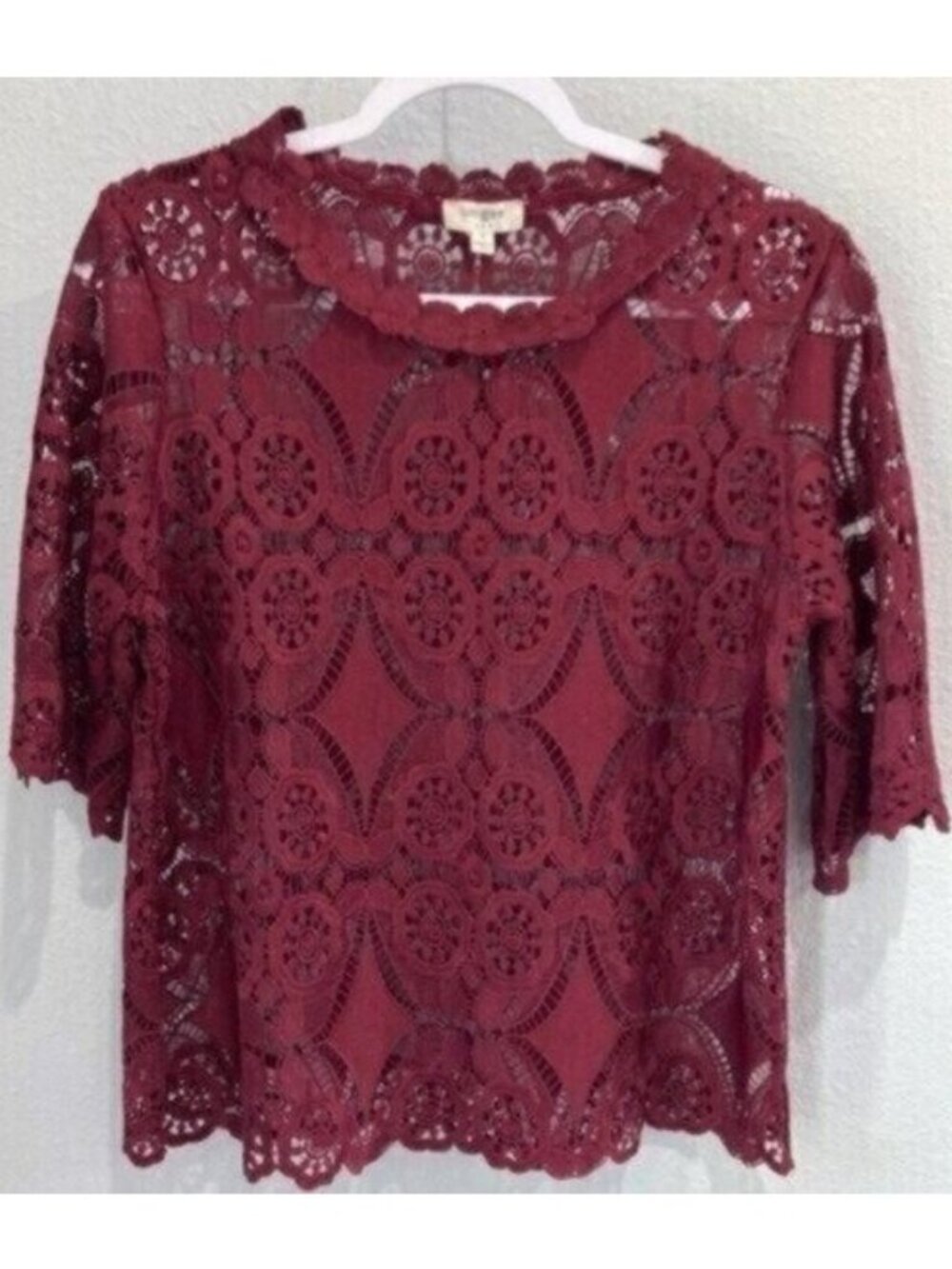 Umgee Embroidered Lace Short Sleeve Top  Dark Feminine Sheer